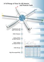 Radix fiber post-2