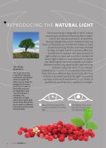 FARO Odontoiatric Lighting System-4