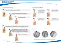 Dia-Pen_&_Gun_Brochure - 4