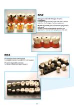 Larident_Demostration-Model.-11