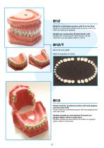 Larident_Demostration-Model.-2