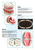 Larident_Demostration-Model.-3