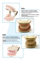 Larident_Demostration-Model.-6