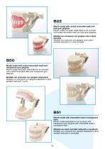 Larident_Demostration-Model.-9