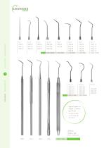 DENTAL 2019-11