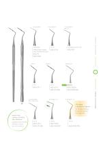 DENTAL 2019-16