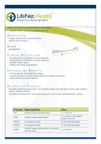 Achilles Tendon-1