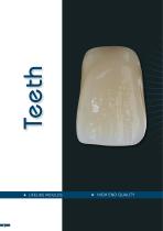CATALOGUE-4