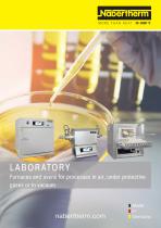 LABORATORY FURNACES