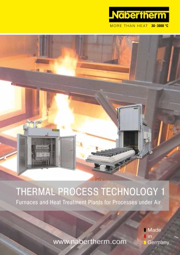 Thermal Process Technology