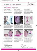 flyer pritimirror-2