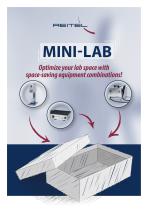 Minilab 2025-1