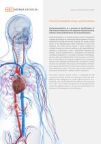 Cryo-T Elephant for Immunomodulation - 3