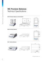 MS Balance Line - 10