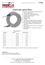 Endoscopic optical fibers - 1