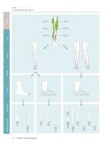 NeuroOrthopedics - 12