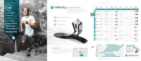 Velocity - 1