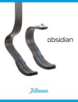 Obsidian - 1