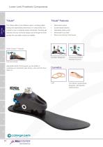 Lower limb catalogue-13