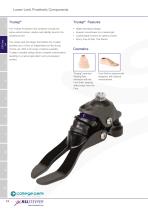 Lower limb catalogue-15