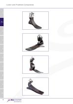 Lower limb catalogue-7
