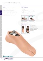 Lower limb catalogue-9