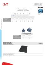 Microsystems 2020-10
