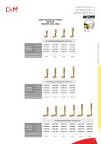 Microsystems 2020-11