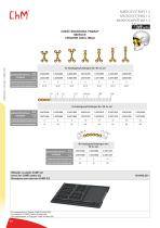 Microsystems 2020-12