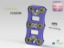 CERVICAL FUSION-1