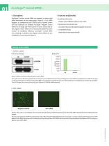 RNAi - 7