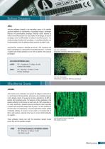 Autoimmunity Product List-11