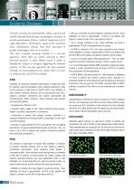 Autoimmunity Product List-4