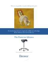 135DSS Saddle Stool Brochure-1