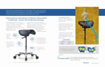 135DSS Saddle Stool Brochure-2