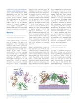 MLKL Activation and Oligomerisation analysis using cross-linking LC-MS and Native Mass Spectrometry - 4