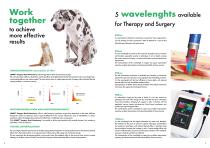 Lumix Surgery Dual Veterinary-5