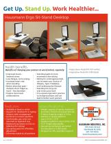 Ergo Desktops-1