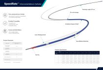Medprin Easycess Neuro Vascular Product Catalog 2026 EasyMax™ Pro Long Sheath Easytork™ Guidewire EasyRace™ Angiographic Catheter EasyRadial™ Access Catheter  Easyport™ Distal Access Catheter Speedpass88™ Aspiration Catheter-11