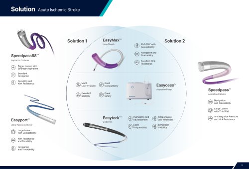 Medprin Easycess Neuro Vascular Product Catalog 2026-Solution