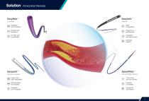 Medprin Easycess Neuro Vascular Product Catalog 2026-Solution-2