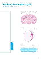 Brochure Polycut Legacy-13