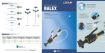 BALEX - 1