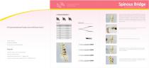 Spinous Bridge - 2
