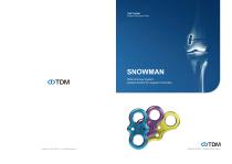 VA Snowman-1