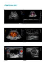E-CUBE 15 Catalog - Internal Medicine-5