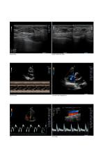 E-CUBE 15 Catalog - Internal Medicine-6