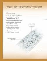 Prograft-2