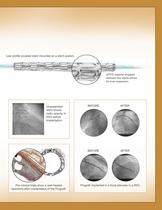Prograft-3