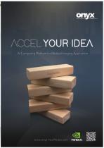 ACCEL AI Brochure - 3